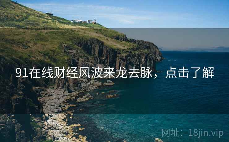 91在线财经风波来龙去脉，点击了解