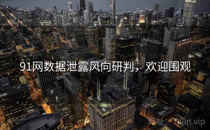 91网数据泄露风向研判，欢迎围观