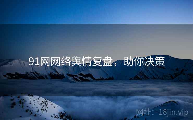 91网网络舆情复盘，助你决策