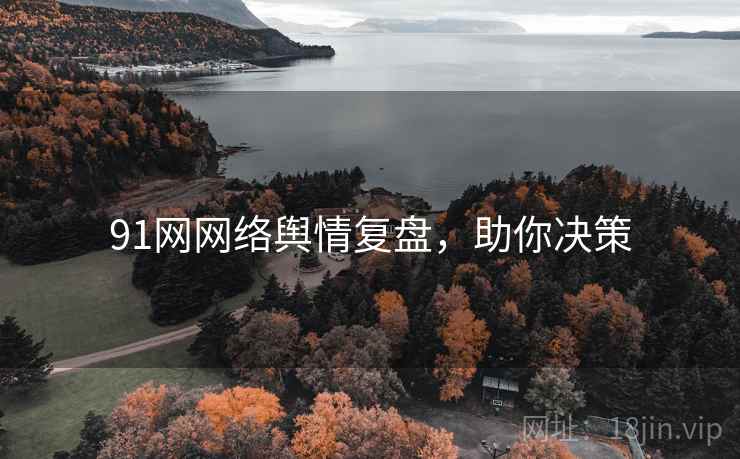 91网网络舆情复盘，助你决策
