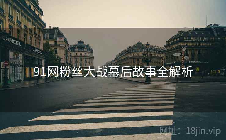 91网粉丝大战幕后故事全解析