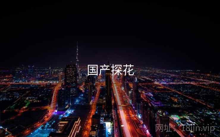 国产探花