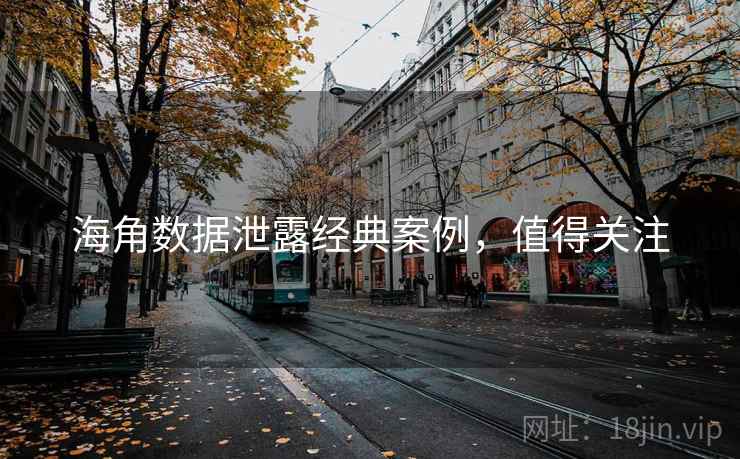 海角数据泄露经典案例，值得关注