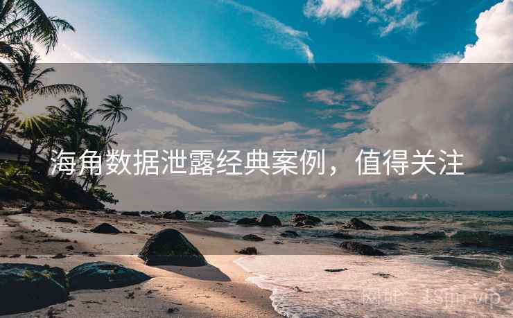 海角数据泄露经典案例，值得关注