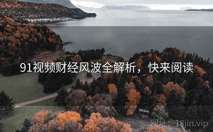 91视频财经风波全解析，快来阅读