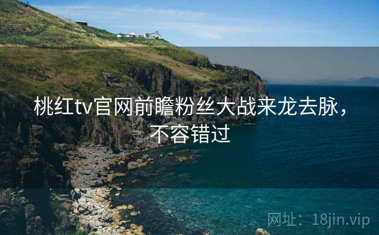桃红tv官网前瞻粉丝大战来龙去脉,不容错过