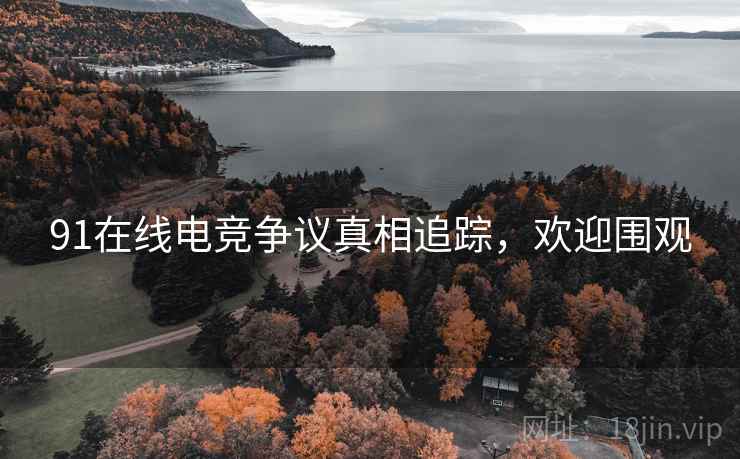 91在线电竞争议真相追踪，欢迎围观