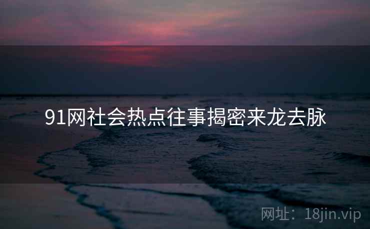 91网社会热点往事揭密来龙去脉