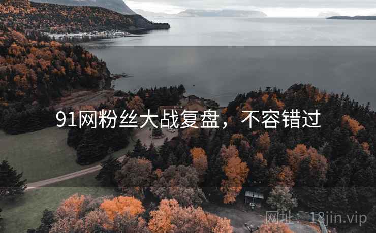 91网粉丝大战复盘，不容错过