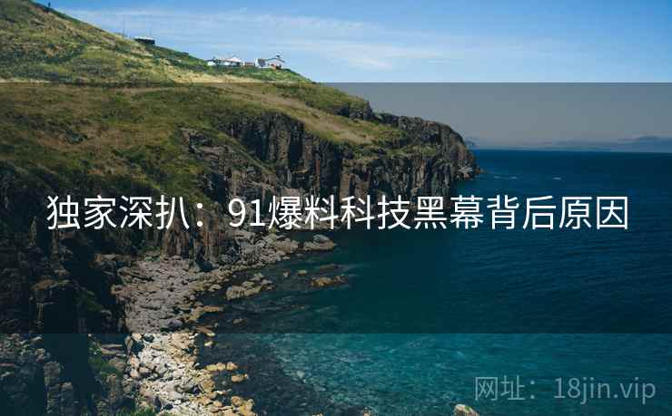 独家深扒：91爆料科技黑幕背后原因