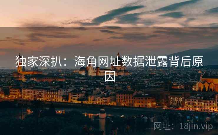 独家深扒：海角网址数据泄露背后原因