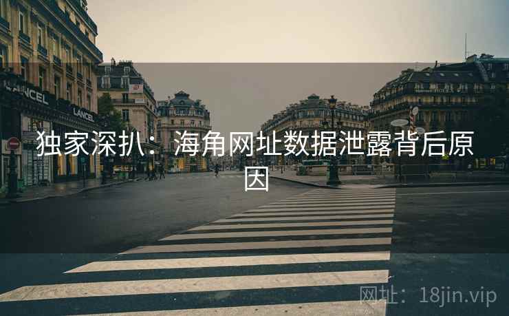 独家深扒：海角网址数据泄露背后原因