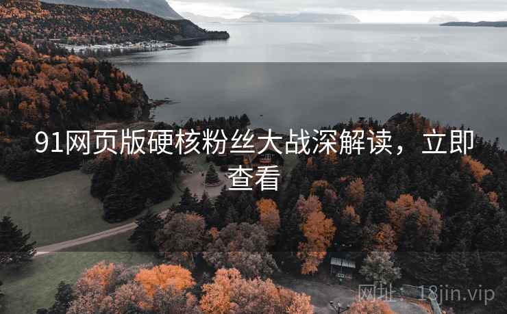 91网页版硬核粉丝大战深解读，立即查看