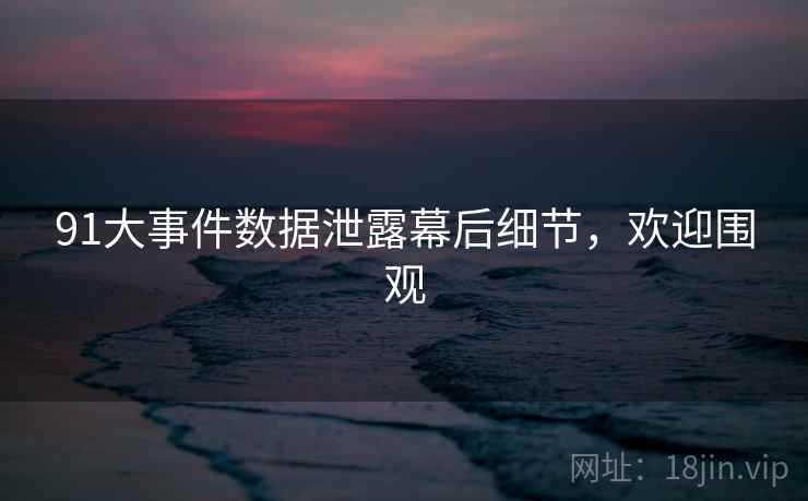 91大事件数据泄露幕后细节，欢迎围观