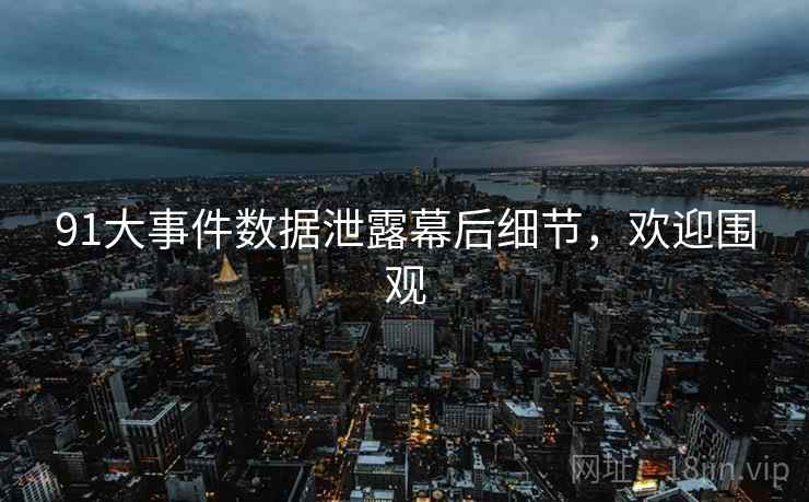 91大事件数据泄露幕后细节，欢迎围观