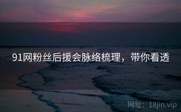 91网粉丝后援会脉络梳理，带你看透