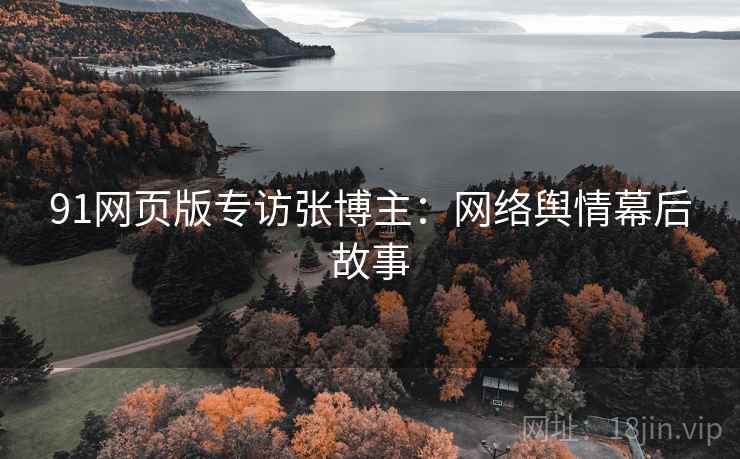91网页版专访张博主：网络舆情幕后故事