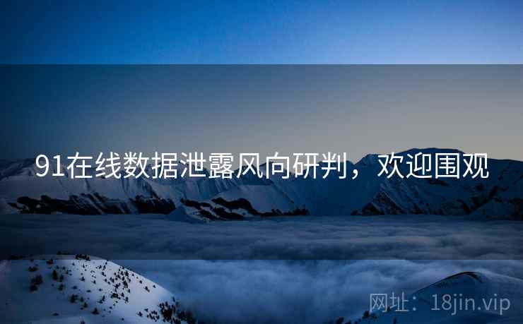 91在线数据泄露风向研判，欢迎围观