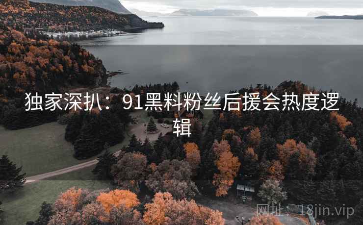 独家深扒：91黑料粉丝后援会热度逻辑